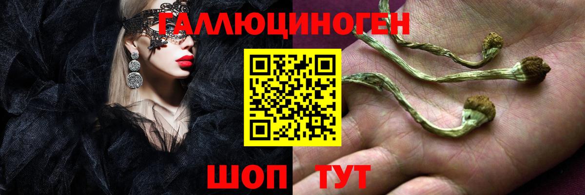 Кузнецк  Псилоцибиновые грибы мухоморы  Вход с VPN 